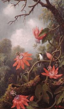 Martin Johnson Heade : Hummingbird And Passionflowers
